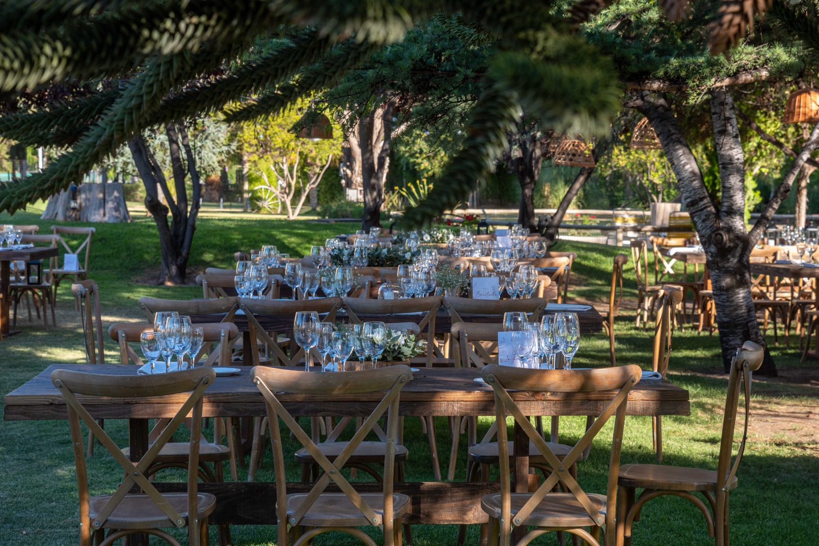 Mesas de madera con copas montadas bajo los árboles para un evento