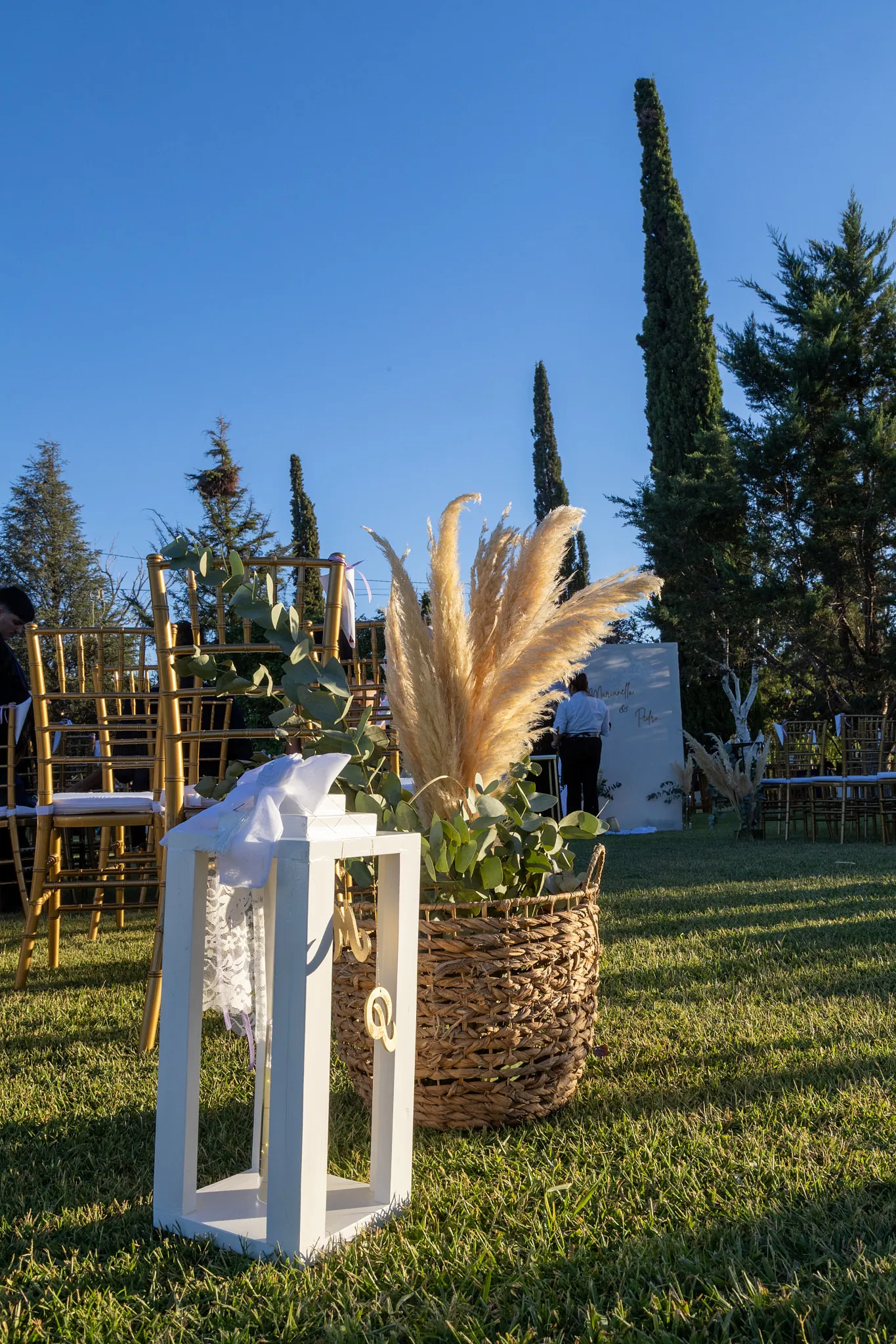 Decoración lumínica entre cipreses durante una boda nocturna