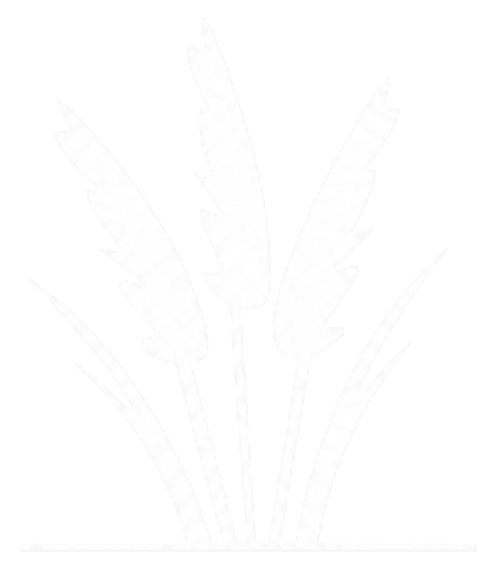 Las Cortaderas